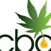 CBD Oil